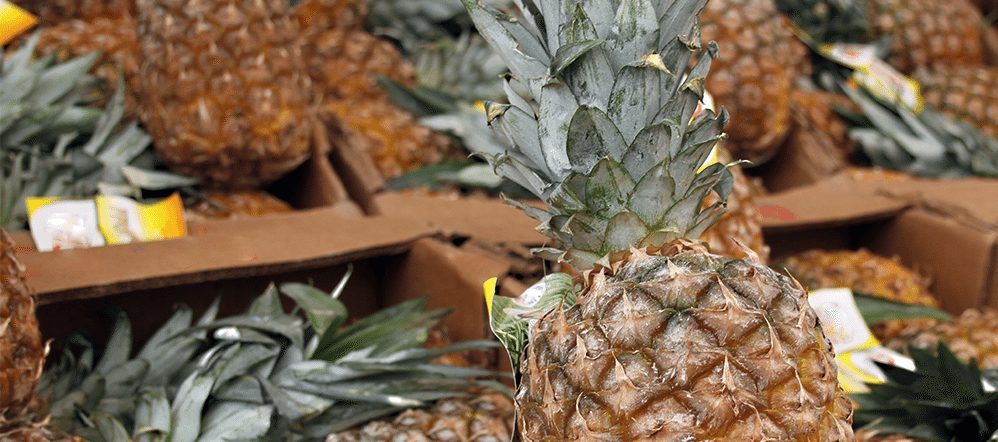 Antigua Black Pineapple: The World’s Sweetest