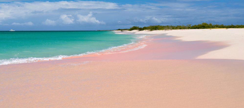Barbuda
