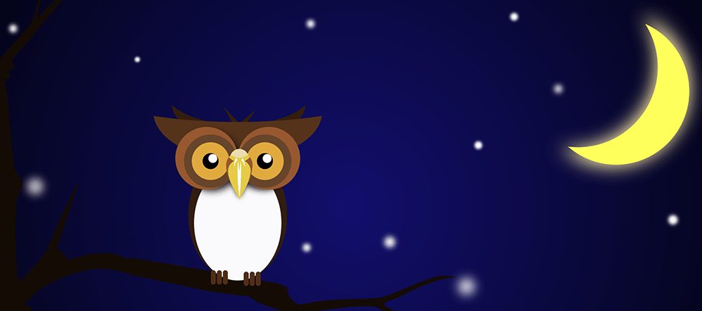 night owls blog image