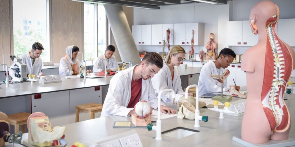 medical school students