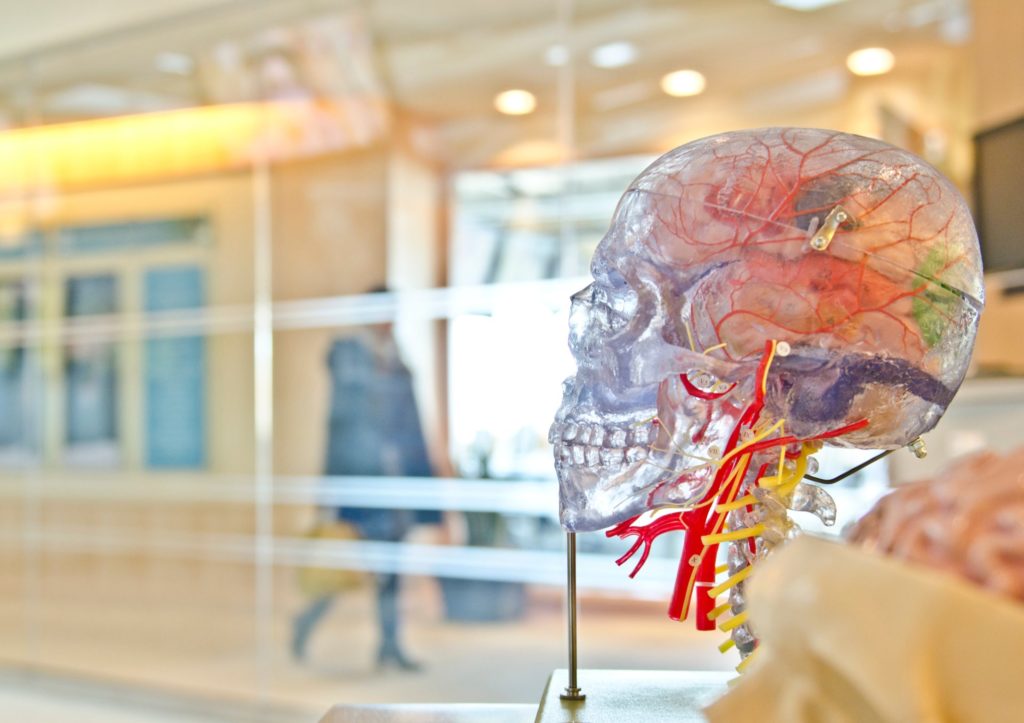 pre med major for medical school