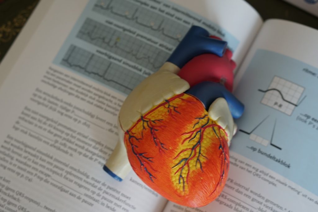 model of human heart on top of medical textbook