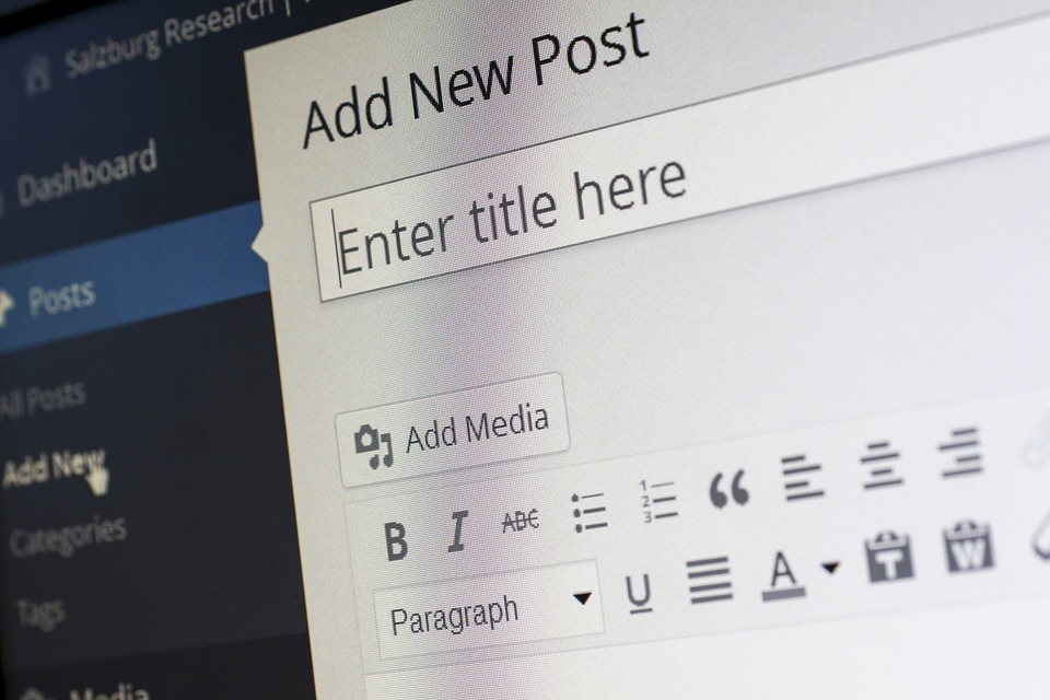 screenshot of wordpress CMS