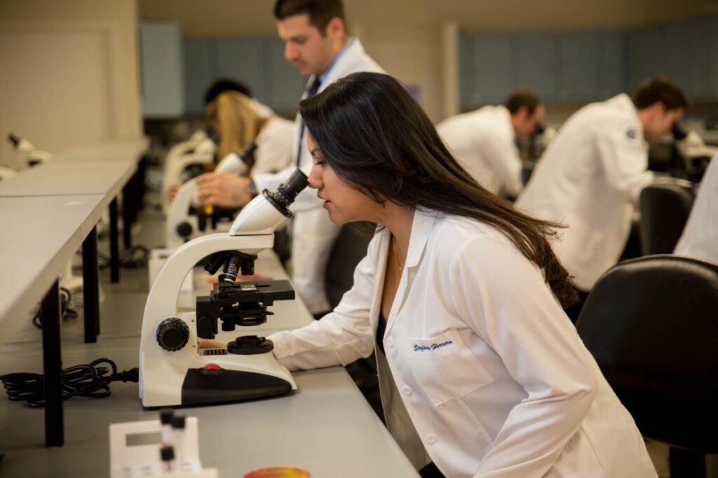 licensed doctor using microscope